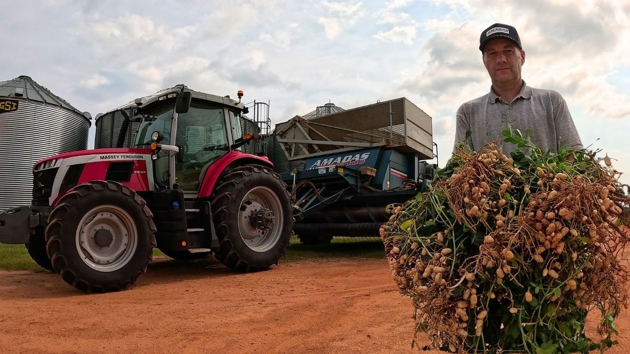 Peanut harvester on the farm