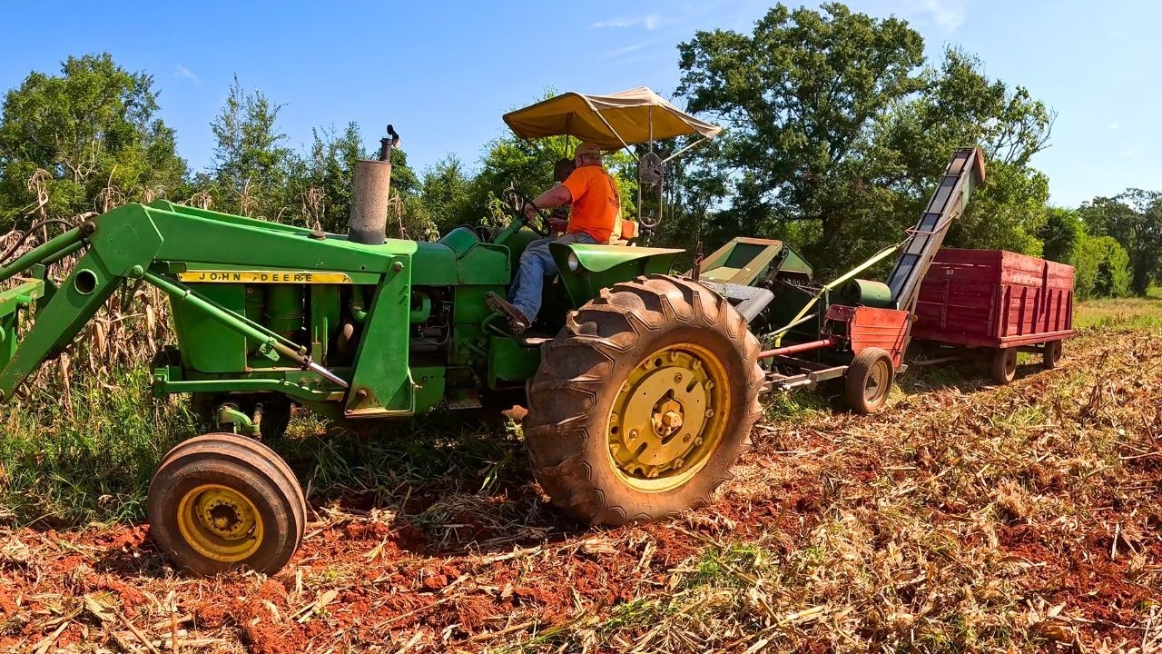 Tractor working in a popcorn field